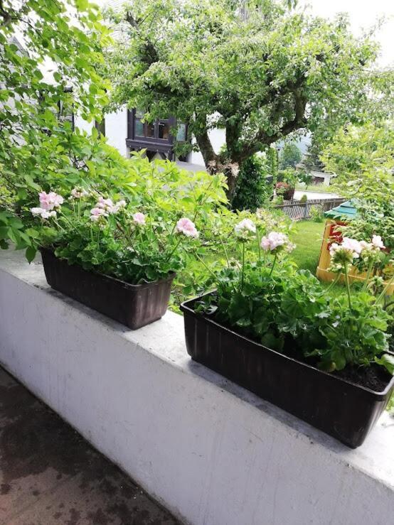 Ferienwohnung am Balkon des Erzgebirges Bernsbach Exterior foto